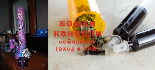 mdpv Горно-Алтайск
