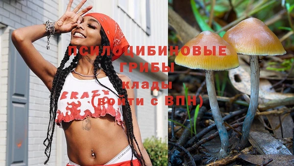 таблы Горнозаводск