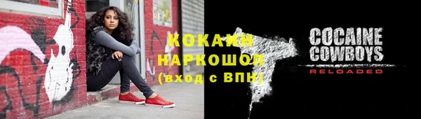 винт Горняк