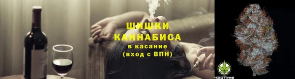 mdpv Горно-Алтайск