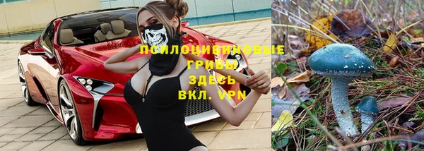винт Горняк