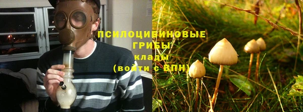 таблы Горнозаводск