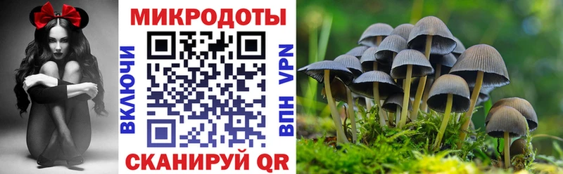 Псилоцибиновые грибы MAGIC MUSHROOMS  Арзамас 